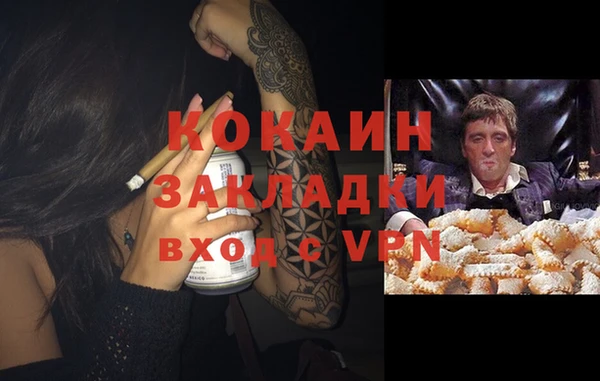 стафф Алзамай